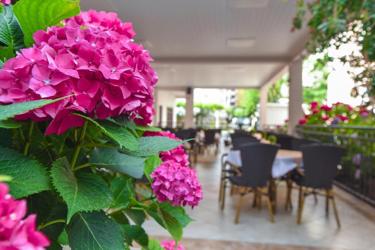 Hotel Suzana Budva Kültér fotó